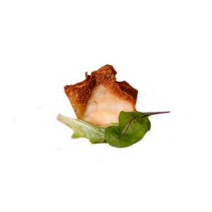 Cheese Wonton