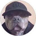 Foto de perfil de Aaron Vargas